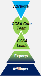 CCSA Structure
