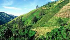 colombia_111807_500_11705