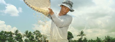 Agrabusiness-Story-Banner