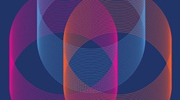 Sustainable Open Innovation in Government: Practical Application