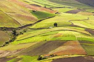 land-administration-page