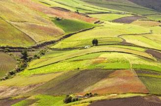 land-administration-page