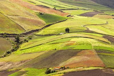 land-administration-page