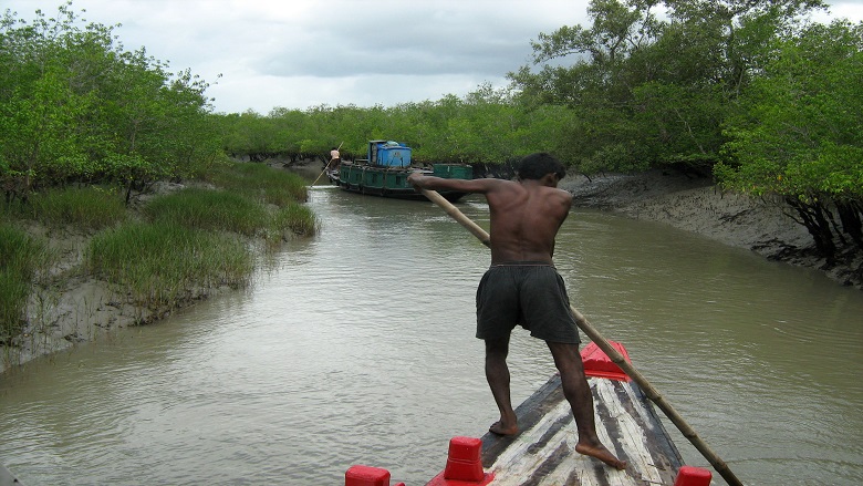 sundarbans_from_dr_danda