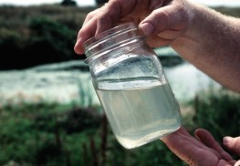 water_quality_mason_jar