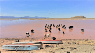 Dried-lake-Bolivia