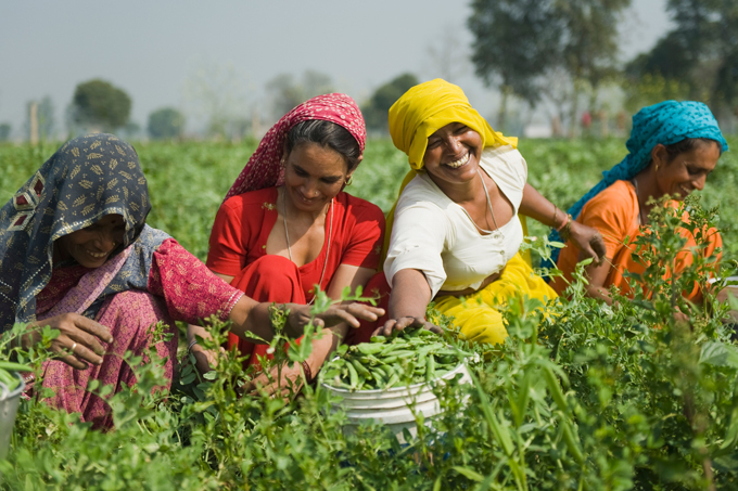 in-alamy-stock-photo