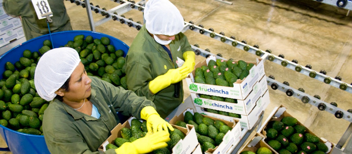 blog-cl-chile-agroinversion-wide