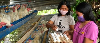 dole_graduation_pilot_philippines