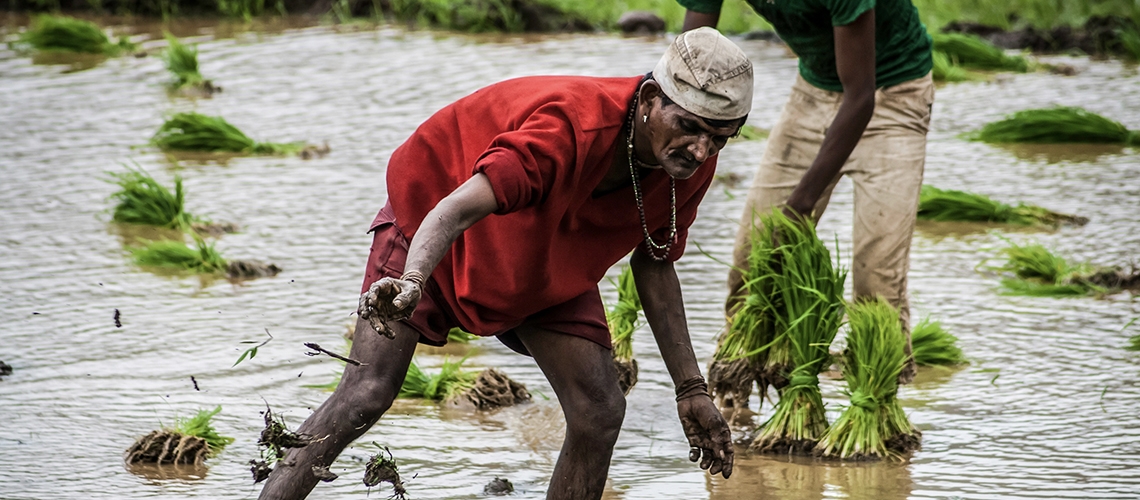 india_farmer_blog_hero