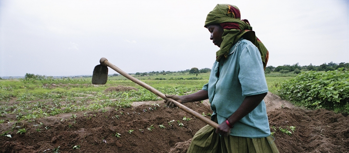 ag_blog_july_22_1140x500_1117767635_9d624e5836_o