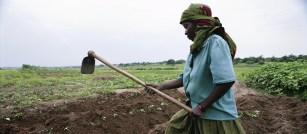 ag_blog_july_22_1140x500_1117767635_9d624e5836_o