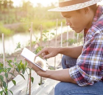 imf-world-bank-annual-meetings-october-2024-700x644-Food-Agriculture-v2_348x320